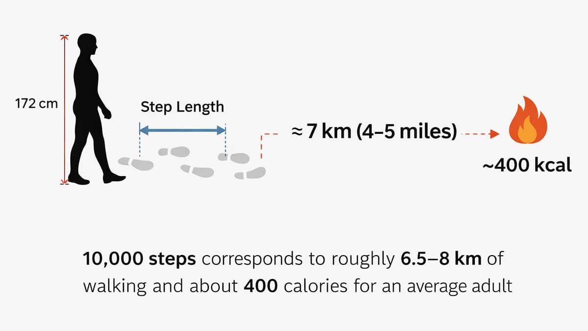10000 steps distance and calories explained