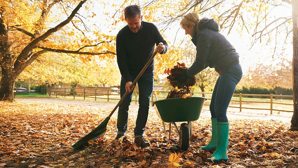 Man and woman raking and collecting leaves